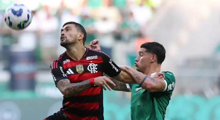 Mengão e Verdão decidem o título do Brasileirão neste domingo?