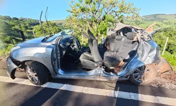 Colisão contra árvore deixa um morto e três feridos na PR-317