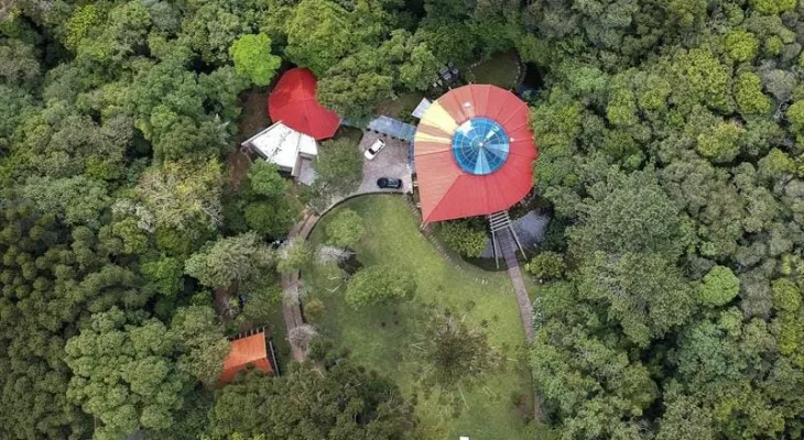 Assembleia busca esclarecimentos sobre posse e preservação do Bosque da Copel