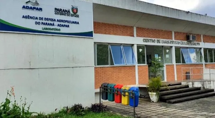 TCE-PR determina que Adapar detalhe plano de brigada de incêndio e regularize imóveis