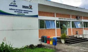 TCE-PR determina que Adapar detalhe plano de brigada de incêndio e regularize imóveis