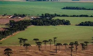 Mais prazo: Produtores terão mais 4 anos para fazer georreferenciamento