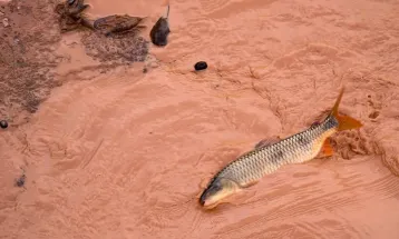 Carf mantém autuação bilionária contra Samarco e Vale por deduções indevidas de tributos