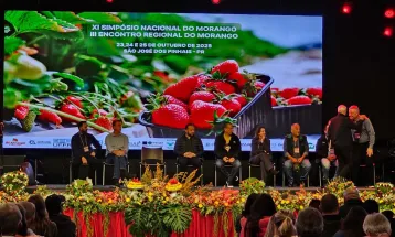 Simpósio do Morango lança rota turística que une produção e turismo rural
