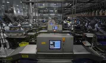 Paraná registra recorde de 26,7 mil vagas de emprego abertas em outubro