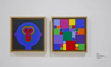 MON tem diversas opções de oficinas e mediações gratuitas em novembro