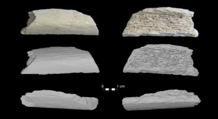 DNA revela que neandertais migraram milhares de quilômetros para a Ásia