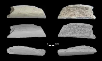 DNA revela que neandertais migraram milhares de quilômetros para a Ásia