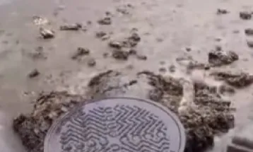 "Maré de cocô" invade ruas de cidade espanhola após temporal