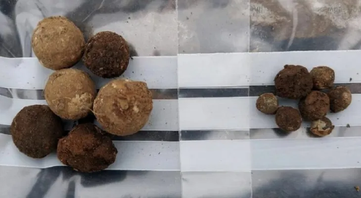 Balas de mosquete encontradas em campo de batalha na Escócia