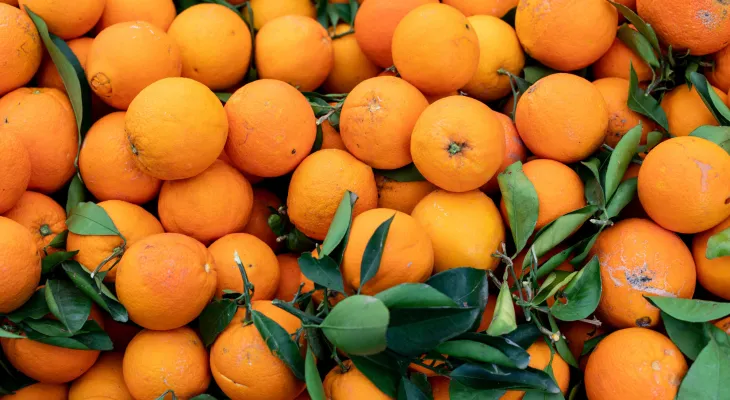 Seis condenados por contrabando de 20 toneladas de laranja do Uruguai