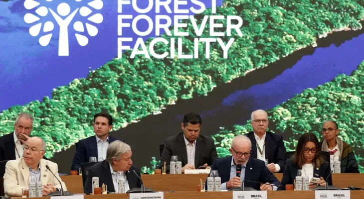Fundo para florestas tropicais atinge aporte de US$ 5,5 bilhões