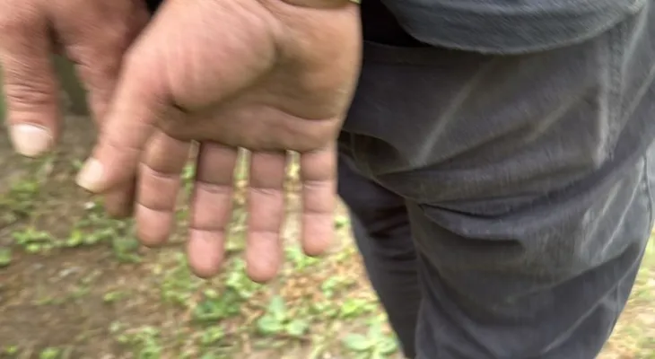 Investigado por abuso sexual contra adolescente é preso pelo Nucria em Cascavel