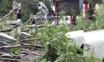 Governo do Paraná confirma cinco mortes após tornado em Rio Bonito do Iguaçu