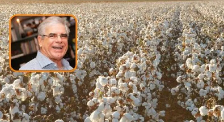 Estado de Mato Grosso pede falência do grupo do 