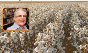 Recuperação judicial do Grupo Pupin é considerada inviável, aponta Comitê de Credores