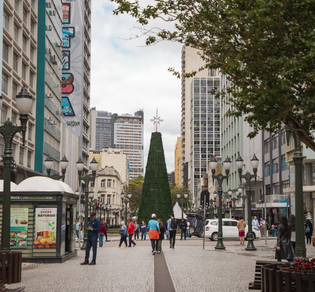 Com luzes ou flores, árvores do Natal de Curitiba começam a ser montadas