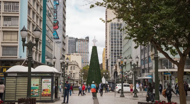Com luzes ou flores, árvores do Natal de Curitiba começam a ser montadas