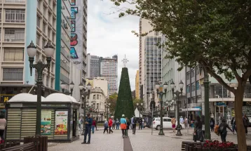 Com luzes ou flores, árvores do Natal de Curitiba começam a ser montadas