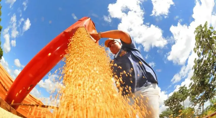 Safra deve recuar 3,7% em 2026, depois de um 2025 recorde