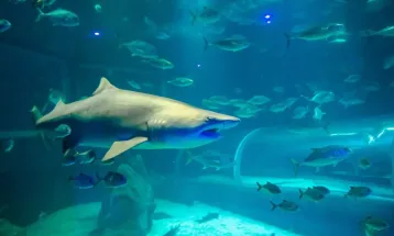 AquaFoz inaugura nesta sexta-feira com preços promocionais