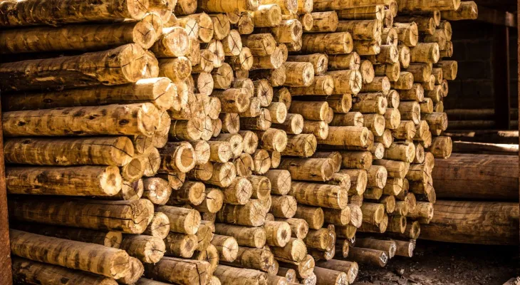 “Tarifaço” dos EUA corta pela metade exportações de madeira do Brasil