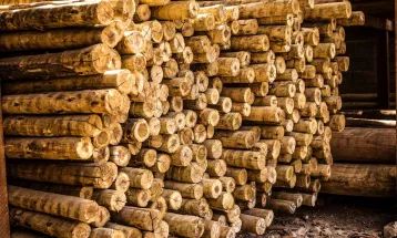 “Tarifaço” dos EUA corta pela metade exportações de madeira do Brasil