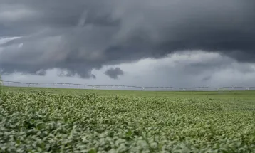 Setor produtivo paranaense cobra ações do governo federal para aliviar crise no campo