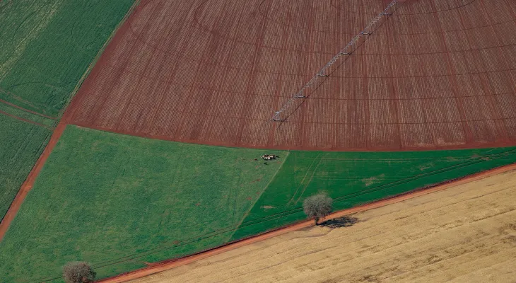 Paraná cresce 4,3% em 2023 e lidera avanço econômico no Sul, aponta IBGE