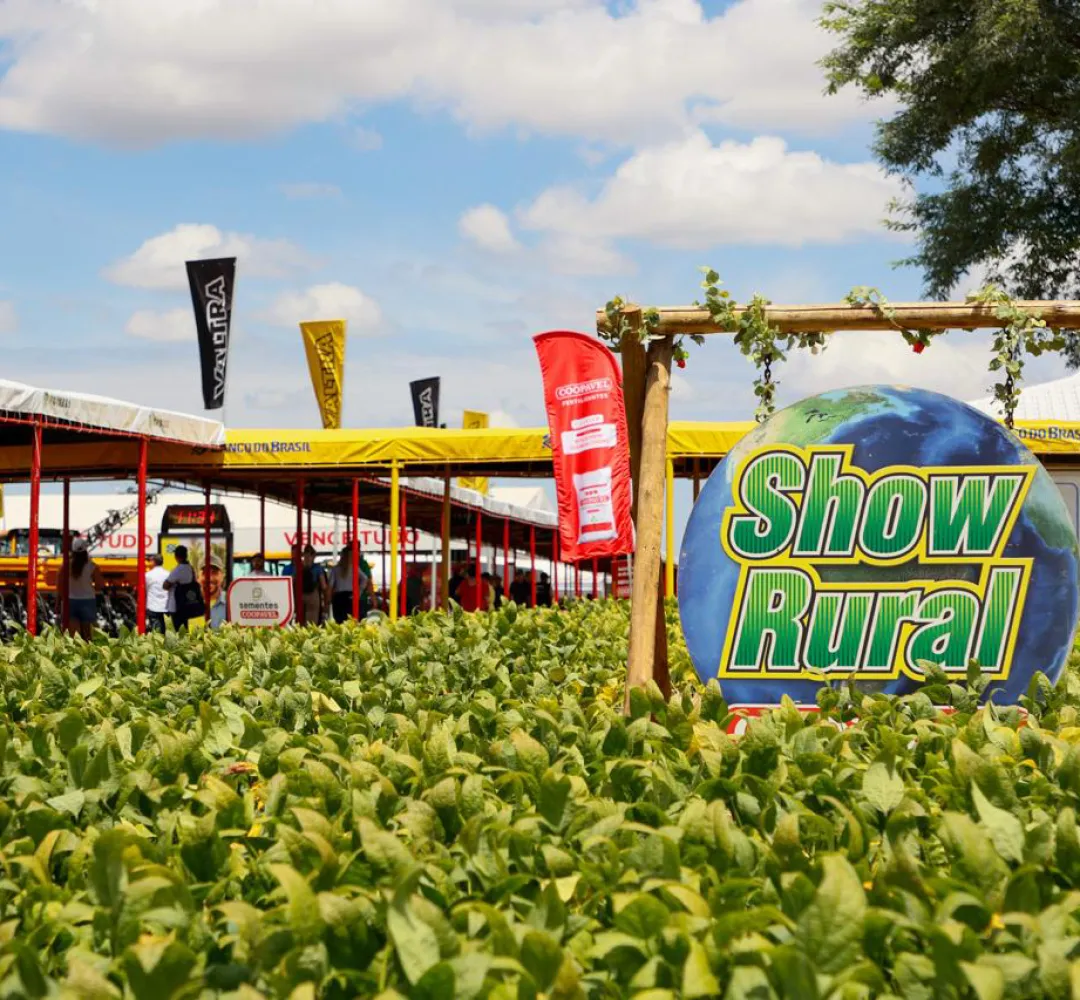 Show Rural Coopavel amplia estrutura e terá 11 km de ruas cobertas na edição de 2026