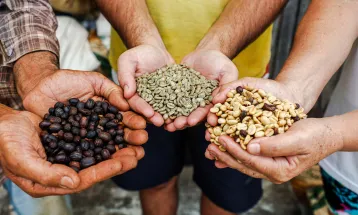 Paraná vai revelar melhores cafés especiais do Estado; 130 lotes disputam prêmio