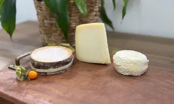 Queijos paranaenses conquistam medalhas em competição mundial na Suíça