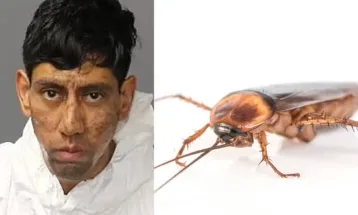 Homem acusado de duplo homicídio diz que matou porque “uma barata o ordenou” por mensagens criptografadas