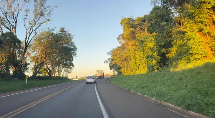 EPR Iguaçu altera tráfego na BR-277 para corte de árvores com risco de queda na próxima terça-feira