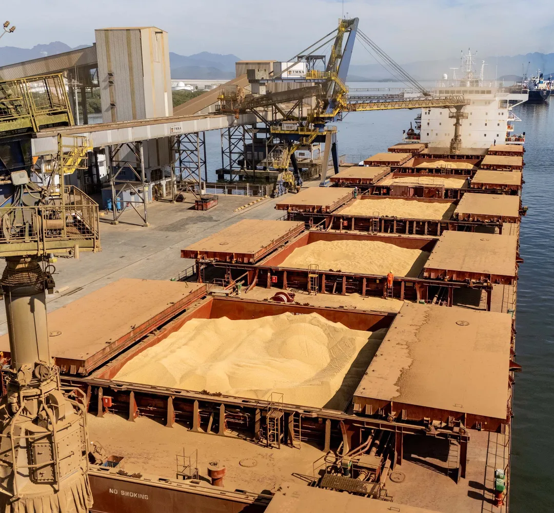 Soja lidera exportações nos portos do Paraná e movimenta US$ 5,2 bilhões entre janeiro e outubro