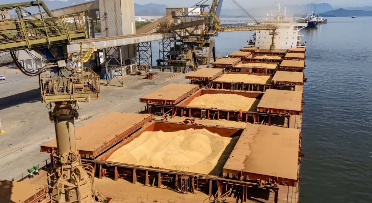 Soja lidera exportações nos portos do Paraná e movimenta US$ 5,2 bilhões entre janeiro e outubro