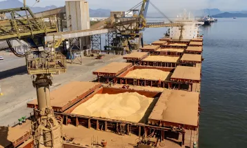 Soja lidera exportações nos portos do Paraná e movimenta US$ 5,2 bilhões entre janeiro e outubro