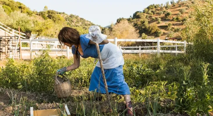 É possível conquistar a Aposentadoria Rural sem ter contribuído no INSS? Saiba como fazer