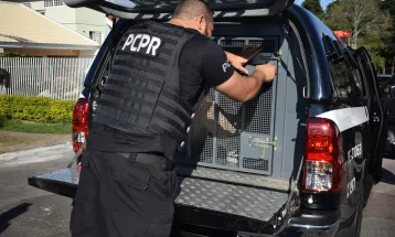 Polícia Civil prende casal suspeito de desviar R$ 600 mil por meio de golpes em Guarapuava