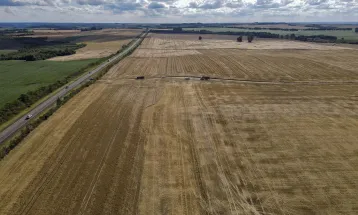 Paraná registra maior safra de grãos da história com 46,8 milhões de toneladas