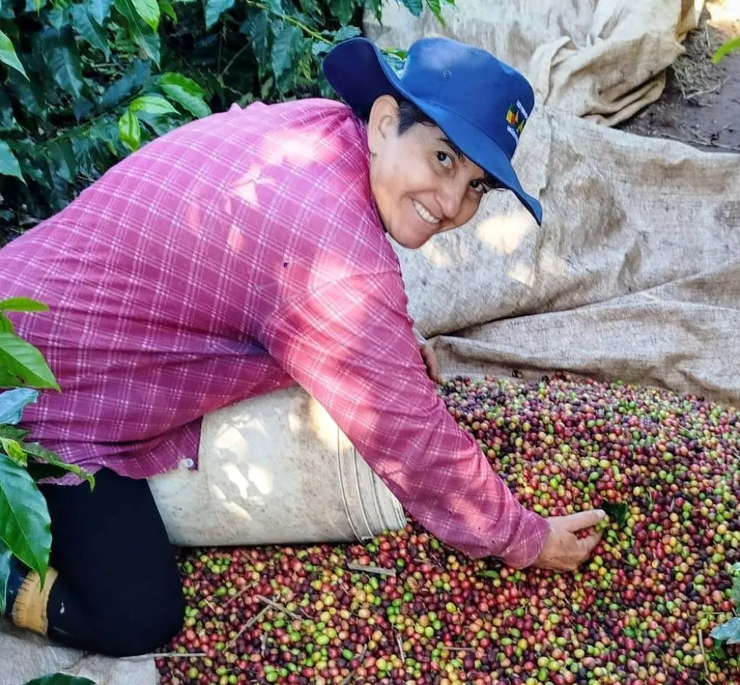 Mulheres dominam Concurso Café Qualidade Paraná e produzem os melhores cafés do Estado em 2025