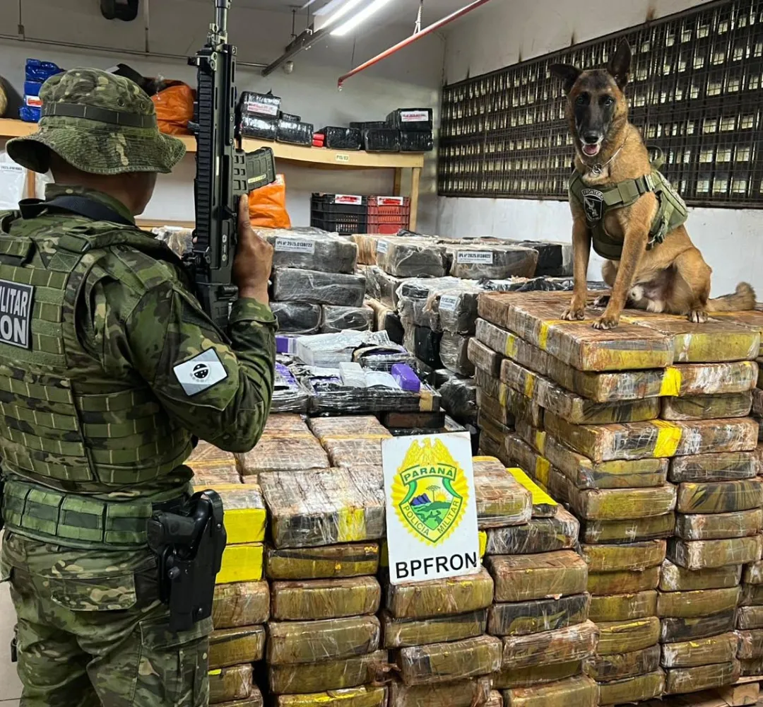 PM apreende 1,5 tonelada de maconha em área de mata em Santa Helena