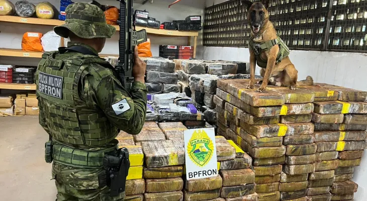 PM apreende 1,5 tonelada de maconha em área de mata em Santa Helena