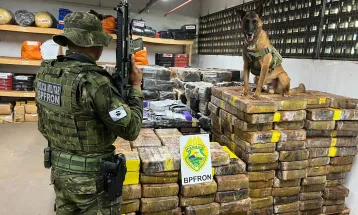 PM apreende 1,5 tonelada de maconha em área de mata em Santa Helena