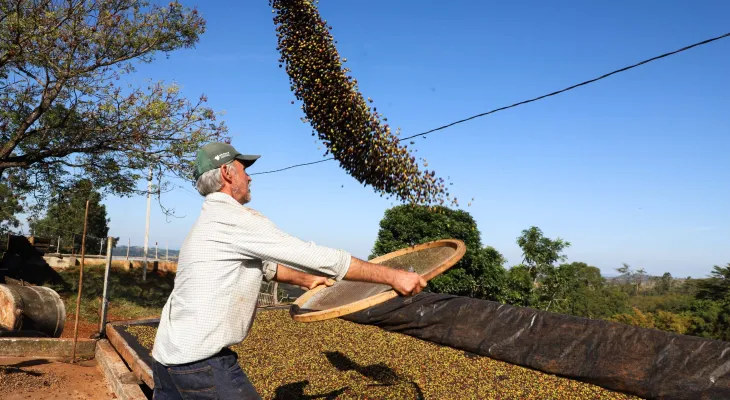 Custos de produção definem desempenho do agronegócio no Paraná; café e soja lideram rentabilidade