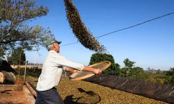 Custos de produção definem desempenho do agronegócio no Paraná; café e soja lideram rentabilidade