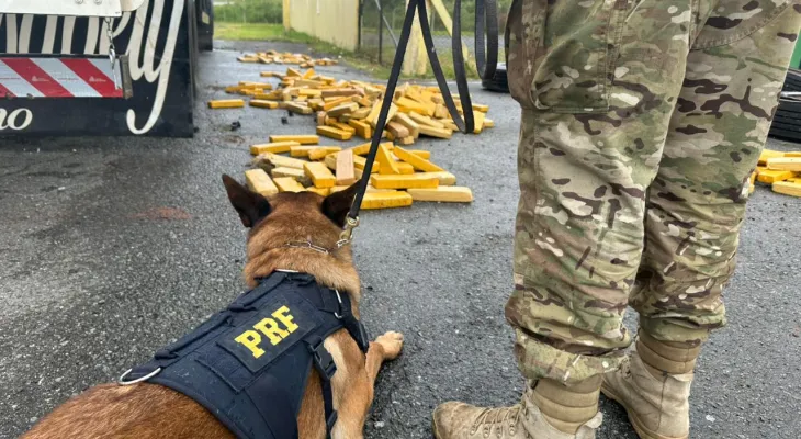 PRF apreende quase meia tonelada de droga escondida em pneus de carreta, na BR-277