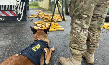 PRF apreende quase meia tonelada de droga escondida em pneus de carreta, na BR-277