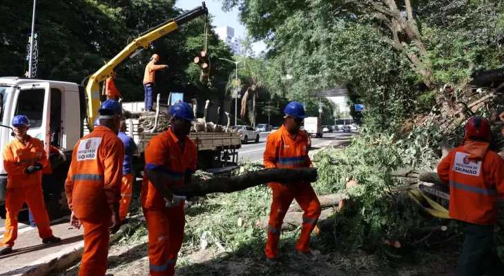 Após ventania, São Paulo tem 1,5 milhão de clientes sem energia