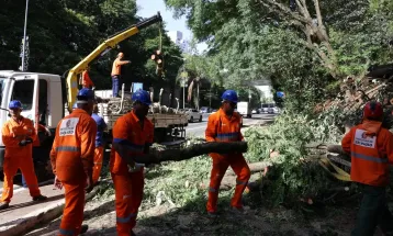 Após ventania, São Paulo tem 1,5 milhão de clientes sem energia